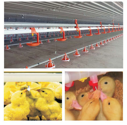 Animal&Poultry Husbandry Equipment Chicken Waters Automatic Poultry Nipple Drinking System