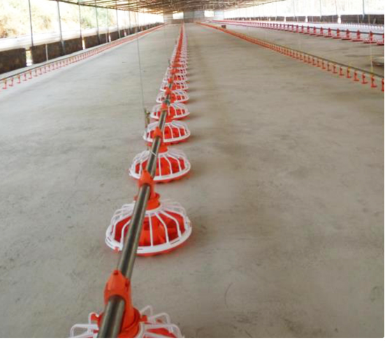 স্বয়ংক্রিয় চিকেন পোল্ট্রি সরঞ্জাম মুরগির খাওয়ানোর লাইন 50-100 কেজি/ঘ 0