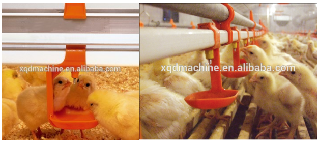 broiler nipple drinker Chicken broilers Drip Cups for poultry water drinking system Square Pipe