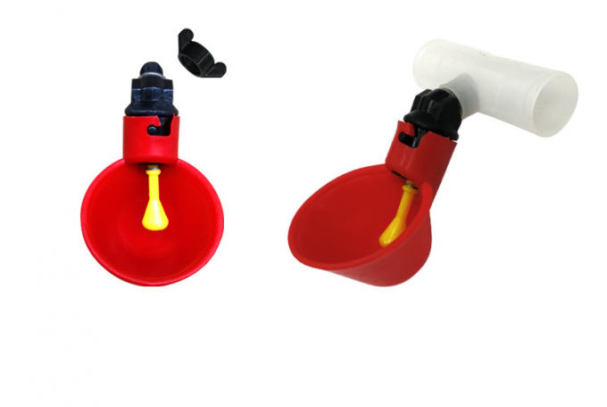 পশু খামার সরঞ্জাম স্বয়ংক্রিয় চিকেন বার্ড খাঁচা পোল্ট্রি জল পানীয় বাটি প্লাস্টিক চিকেন চিক ফাউল নিপল ড্রিংকার ড্রিপ 5