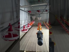 স্বয়ংক্রিয় জল স্তনবৃন্ত জল নিয়ন্ত্রণ মোড পাখি হাইড্রেশন লাইন