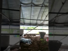 কাস্টমাইজড স্বয়ংক্রিয় চিকেন ফার্ম ফিডার সরঞ্জাম ভোল্টেজ সামঞ্জস্যযোগ্য