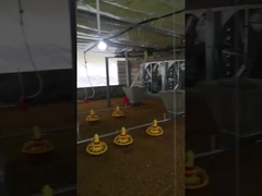 কাস্টমাইজড স্বয়ংক্রিয় চিকেন ফার্ম ফিডার সরঞ্জাম ভোল্টেজ সামঞ্জস্যযোগ্য