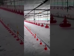 পোল্ট্রি ড্রিঙ্কার পোল্ট্রি সরঞ্জামের জন্য প্লাসন বালতি স্বয়ংক্রিয় বেল ড্রিংকার